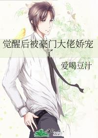 和离后娶了小狗夫郎女尊