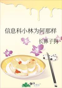 信息科小林为何那样免费