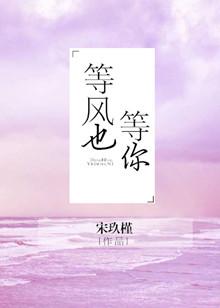 等风也等你全文免费阅读