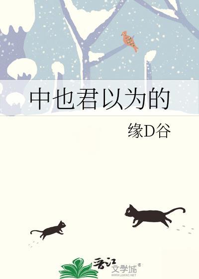 中也设定