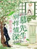 慕先生别回头全文