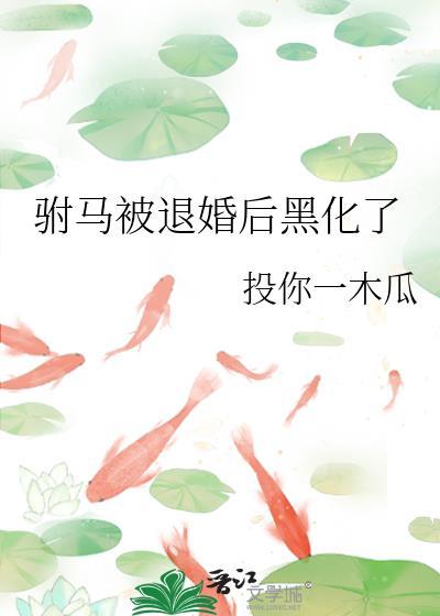 驸马做了公主