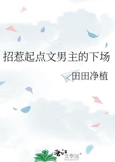 招惹结局解析